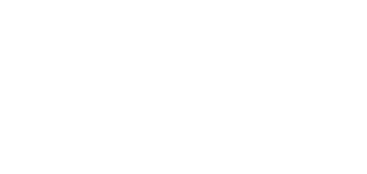 Detailbilder Sichtschutzzaun