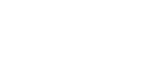 Detailbilder Nirogeländer